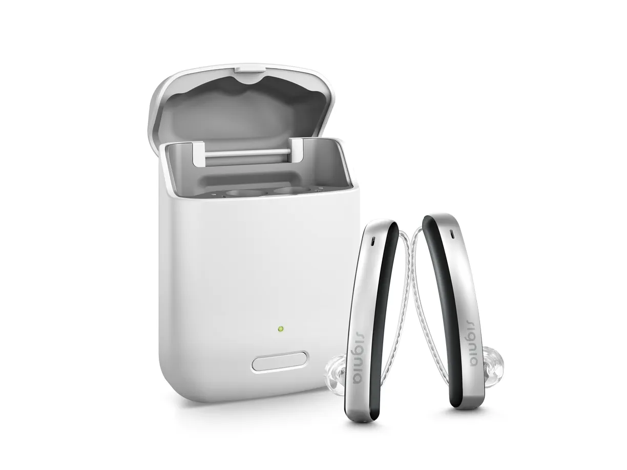 Styletto charging case with hearing aids.