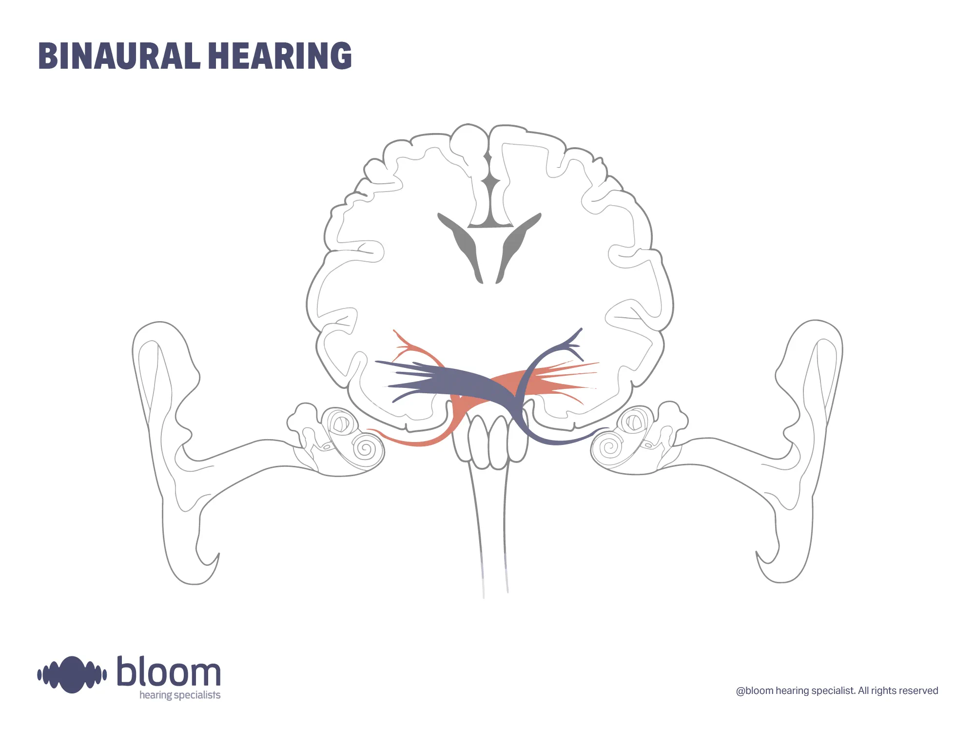 binaural-hearing-4x3